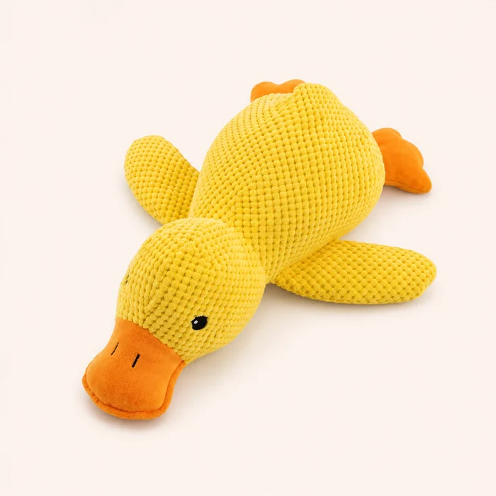 Add the duck