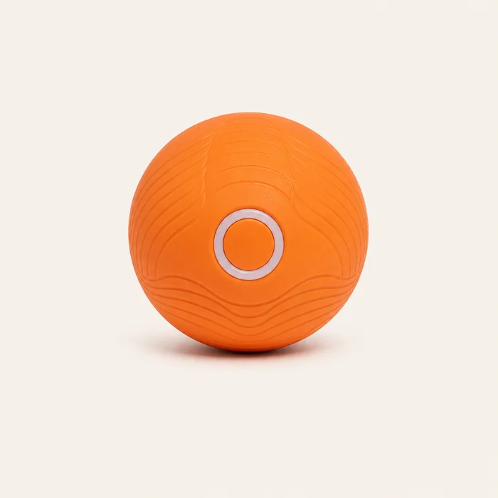Motorized interactive ball